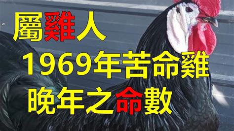 1969年屬雞運勢|【69年屬雞人的每月運程】69年54歲生肖 